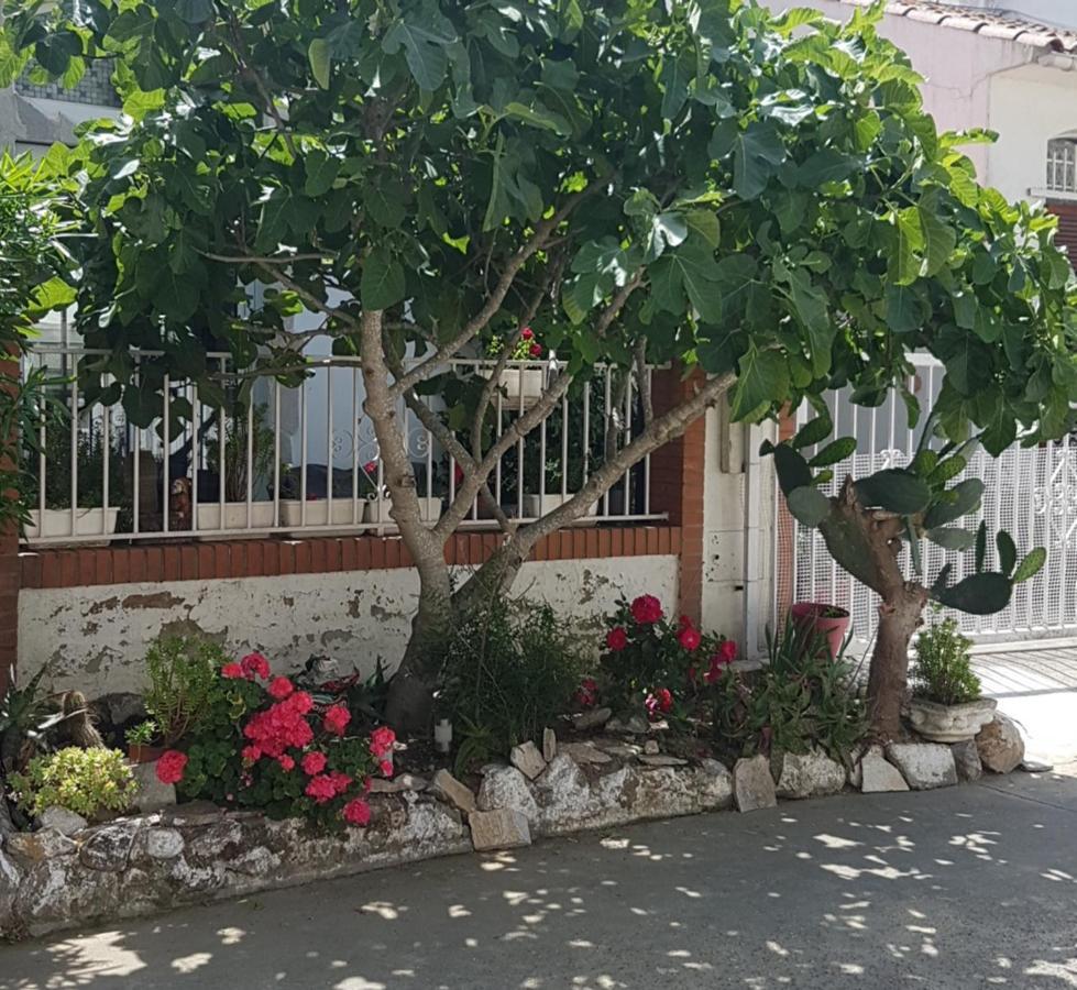 Maison De Vacances A Empuriabrava "Oasis" Villa Exteriör bild